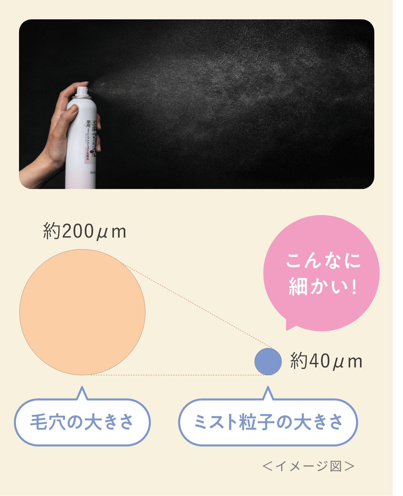 ミスト粒子の大きさ イメージ図