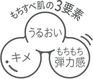 もちすべ肌の3要素 キメ うるおい もちもち弾力感